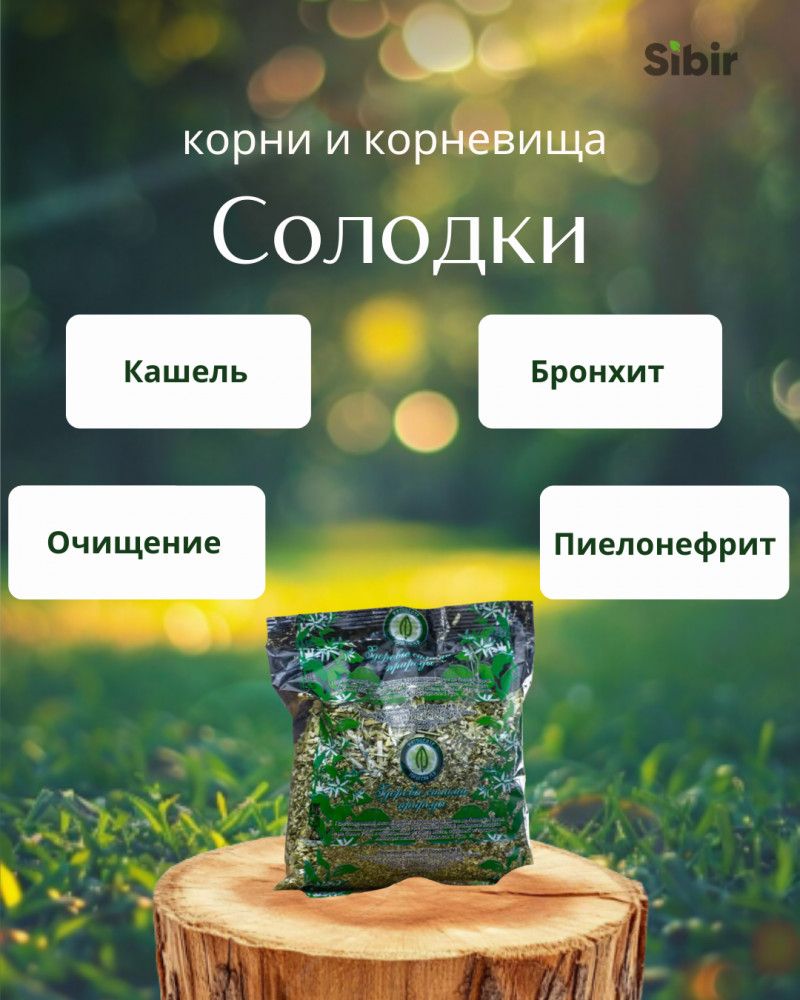 Солодки корни и корневища | Травник Гордеев