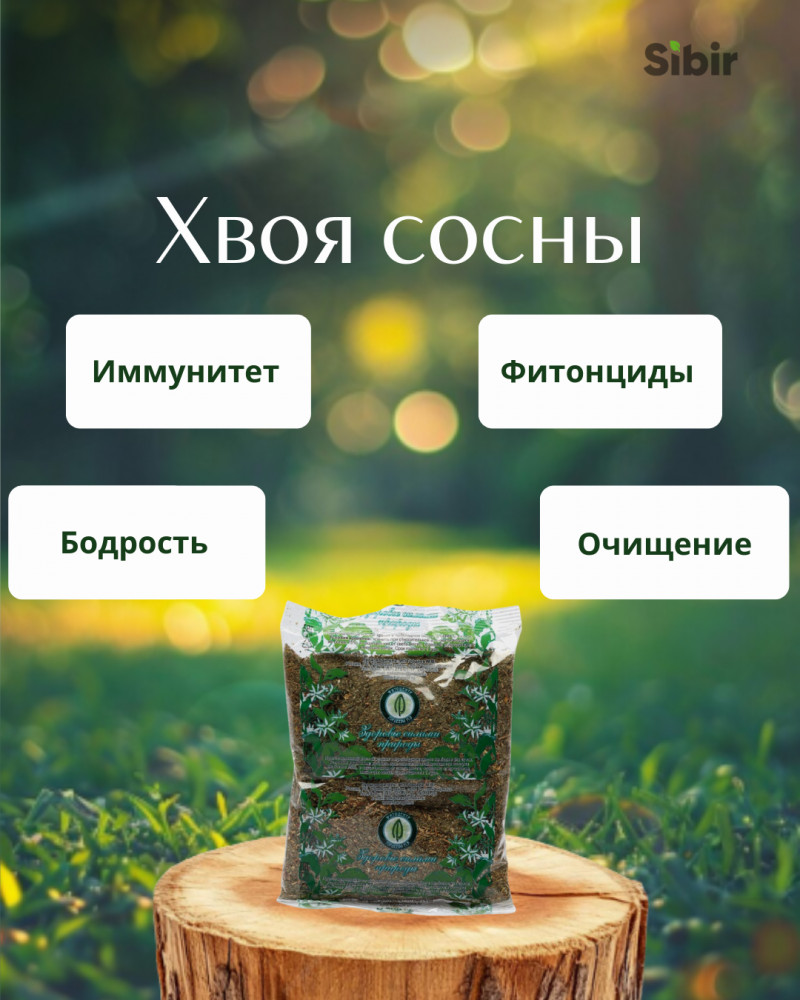 Хвоя сосны | Травник Гордеев