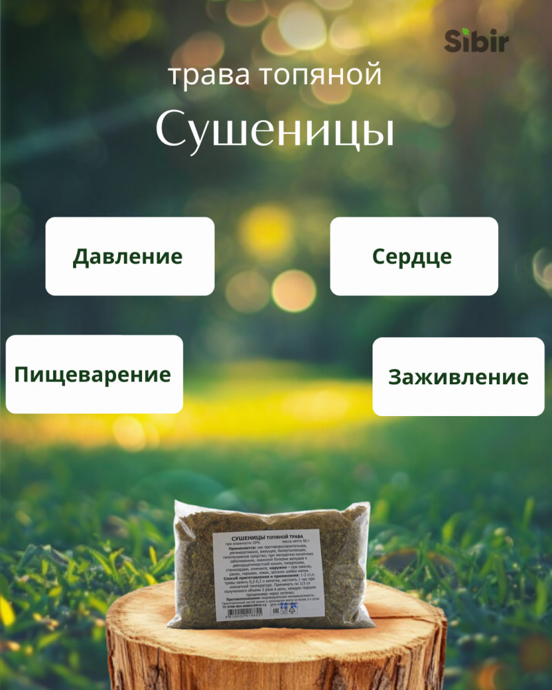 Сушеницы топяной трава | Травник Гордеев