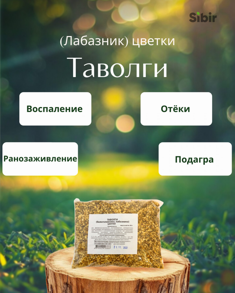 Таволги (Лабазник) цветки | Травник Гордеев