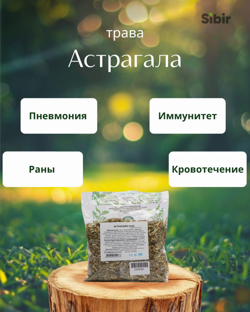 Астрагала трава | Травник Гордеев