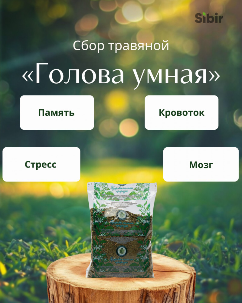 Сбор травяной «Голова умная» | Травник Гордеев