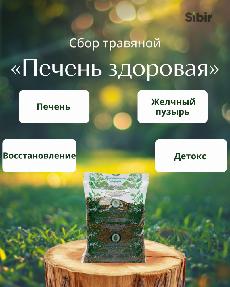 Сбор травяной «Печень здоровая» | Травник Гордеев