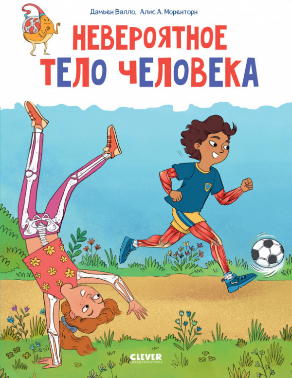 Невероятное тело человека | Удивительные энциклопедии