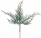 нежный зеленый