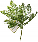 нежный зеленый