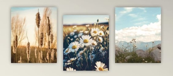 Картина модульная «Цветочное поле» | Симфония