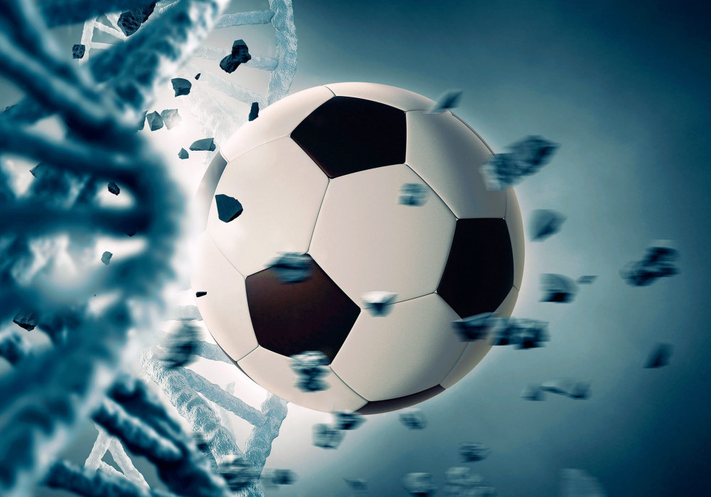 Фотообои «Гол!» | Симфония