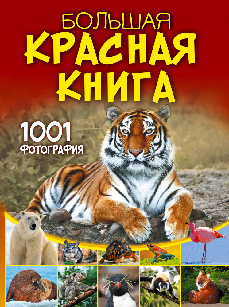 Большая красная книга. 1001 фотография | Большая книга обо всём