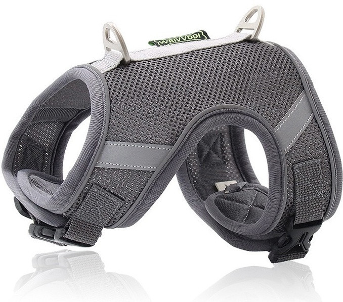 Шлейка с поводком для кошек и собак