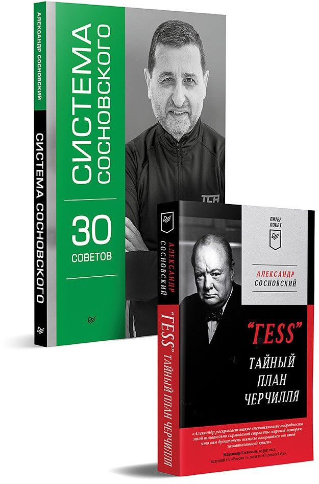 «ГESS» Тайный план Черчилля. Система Сосновского. 30 советов. Комплект из 2 книг
