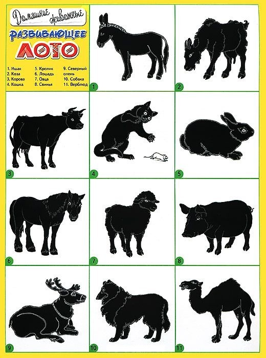 Развивающее лото "Домашние животные" | Лото классическое