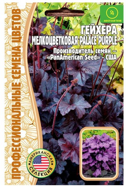 Гейхера мелкоцветковая «Palace Purple » | Профессиональные семена цветов | Григорьев