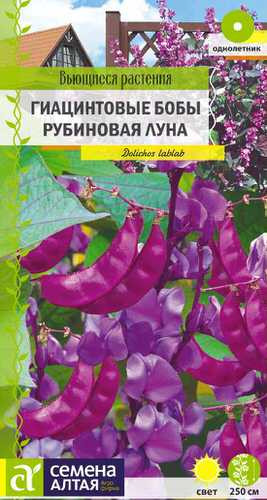 Гиацинтовые бобы «Рубиновая луна» | Вьющиеся растения | Семена Алтая