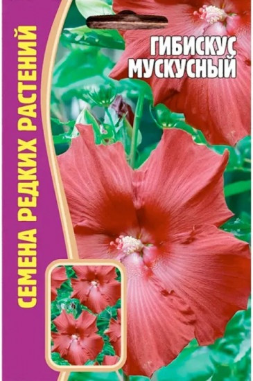 Гибискус «Мускусный» | Семена редких растений | Григорьев