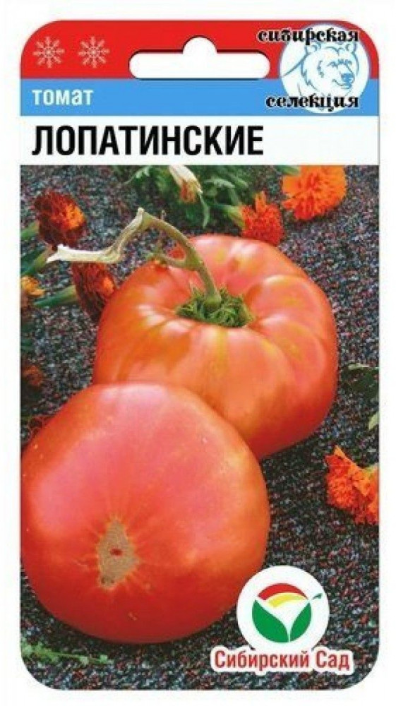 Томат «Лопатинские» | Сибирский Сад