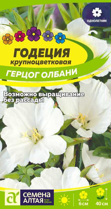 Годеция «Герцог Олбани» | Семена Алтая