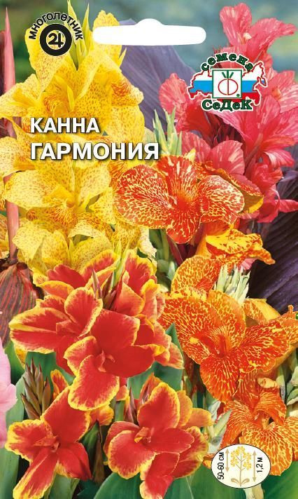 Канна «Гармония» | СеДеК