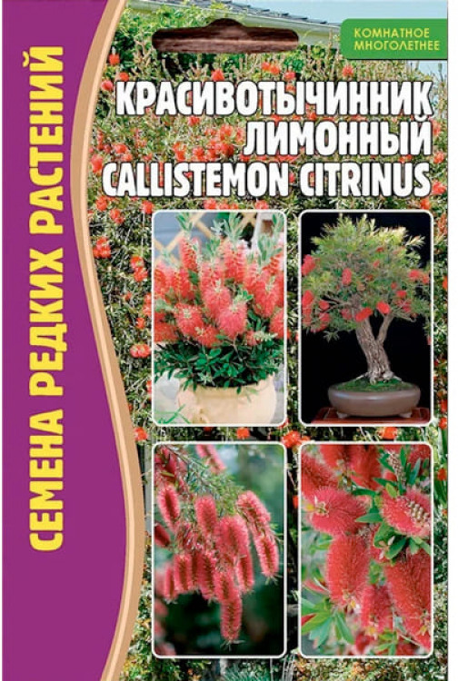 Красивотычинник «Лимонный» | Григорьев