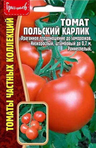 Томат «Польский карлик» | Григорьев