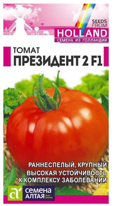 Томат «Президент 2 F1» | Семена Алтая