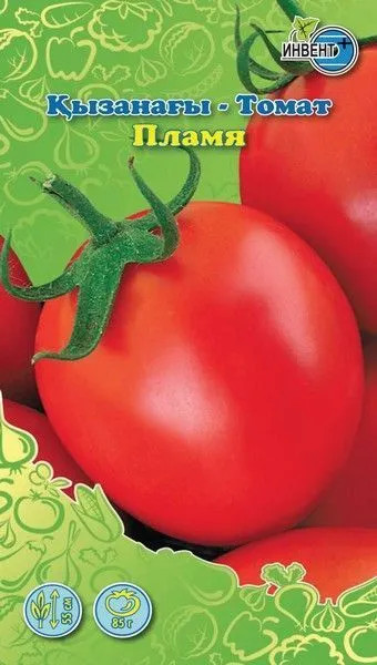 Томат «Пламя» | Инвент+