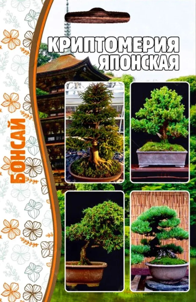 Красивотычинник «Лимонный» | Григорьев