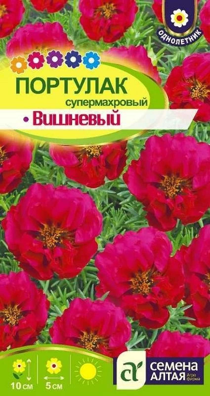 Портулак супермахровый «Вишневый» | Семена Алтая