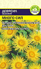 Девясил «Много сил»