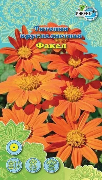 Семена Титония круглолистная «Факел» | Инвент+