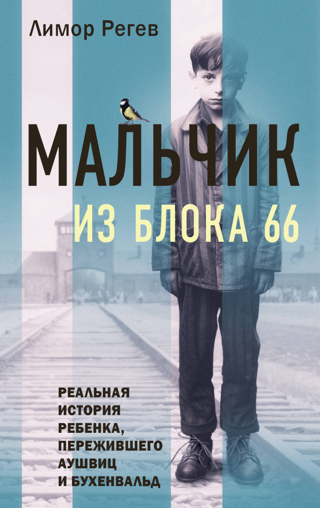 Мальчик из Блока 66. Реальная история ребёнка, пережившего Аушвиц и Бухенвальд | Феникс. Истории сильных духом