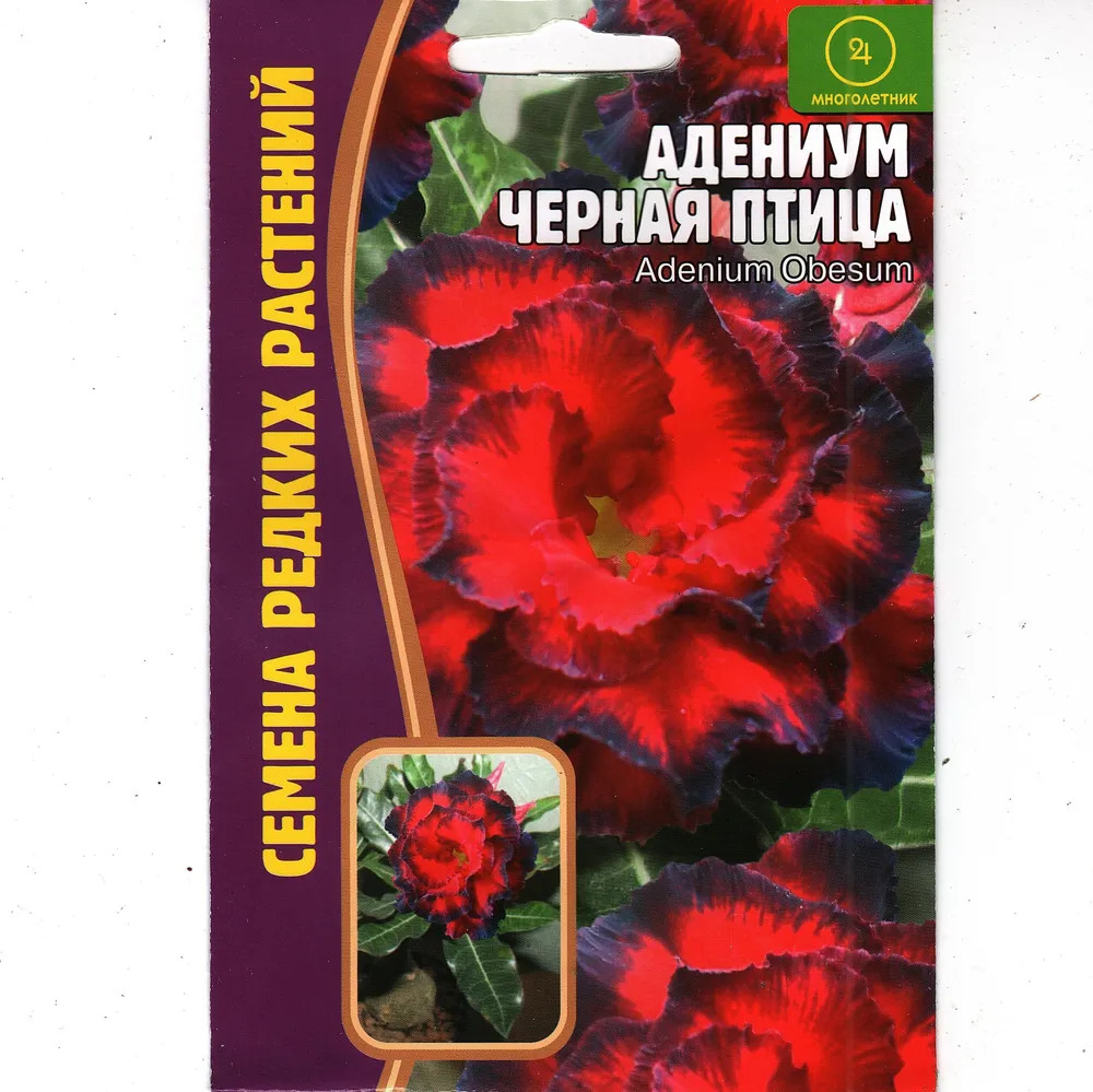 Адениум «Черная птица» | Семена редких растений | Григорьев