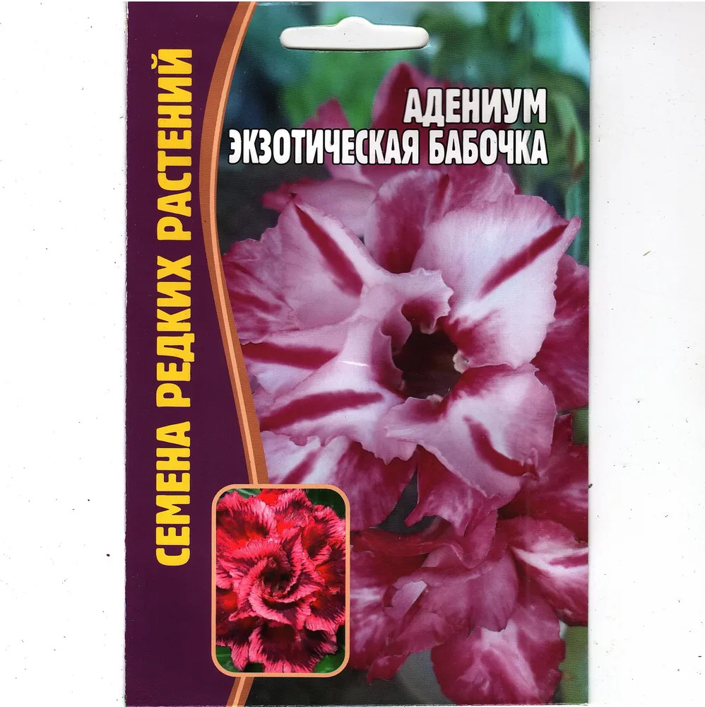 Адениум «Экзотическая бабочка» | Семена редких растений | Григорьев