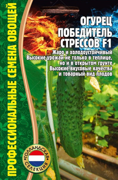 Семена. Огурец «Победитель Стрессов F1» | Григорьев
