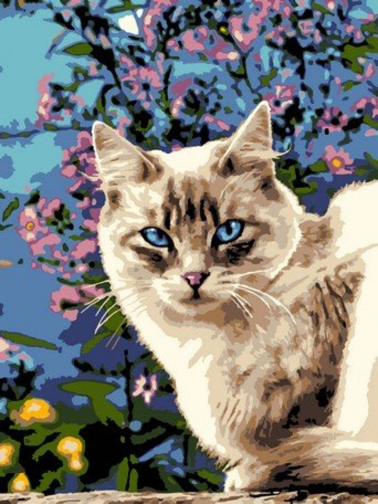 Картина по номерам «Голубоглазая красотка» | Lori