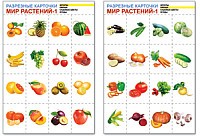 Мир растений-1. Комплект разрезных карточек | Разрезные карточки