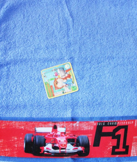 Полотенце махровое с трансферным бордюром "Формула F1" (35х70, цвет голубой) | Shaoxing Liwang Knitting&Textile CO.Ltd