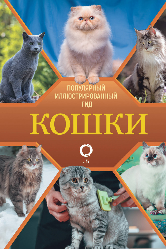 Кошки | Популярный иллюстрированный гид