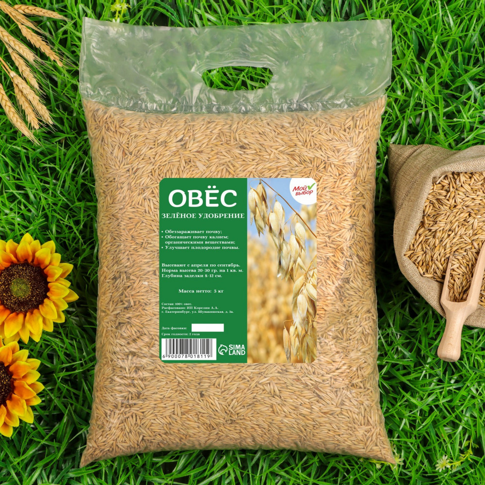 Семена «Овес» | Мой выбор