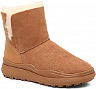 светло-коричневый светло-коричневый