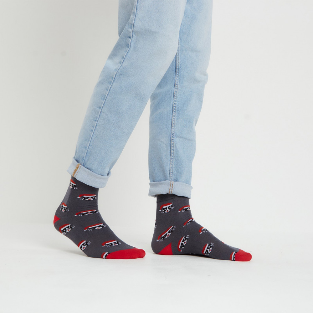 Носки мужские «Коты» | Trend socks | MINAKU