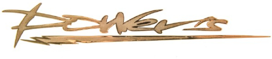 Шильдик «Power's» | Skyway