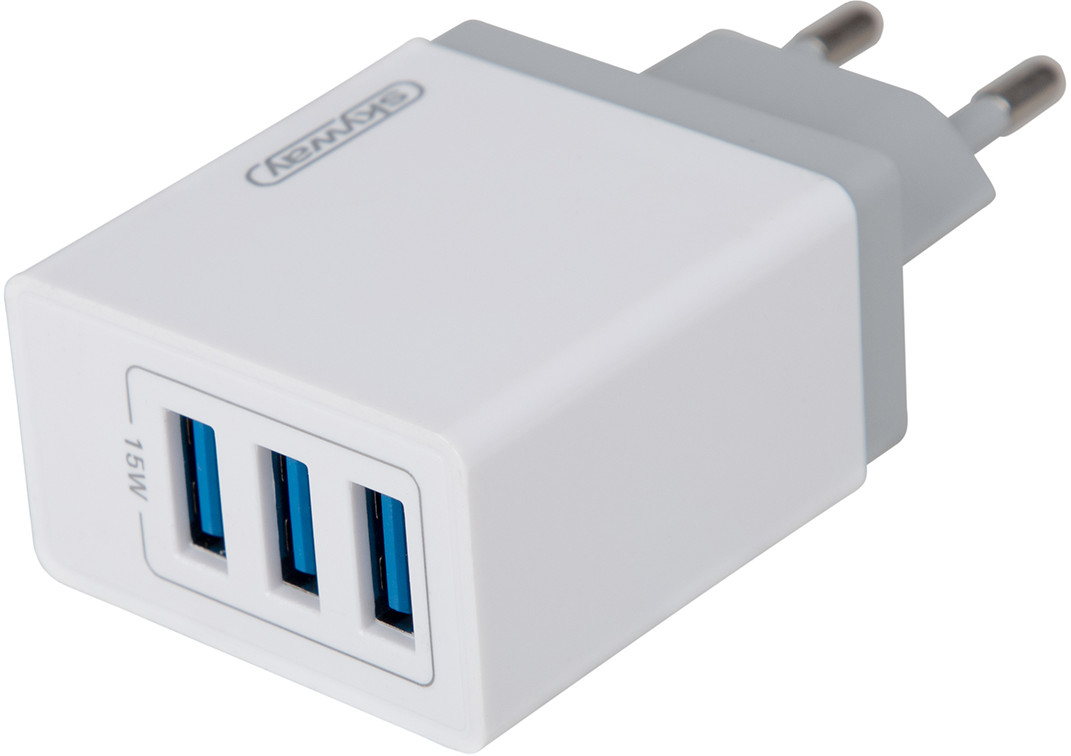 Устройство зарядное | Skyway