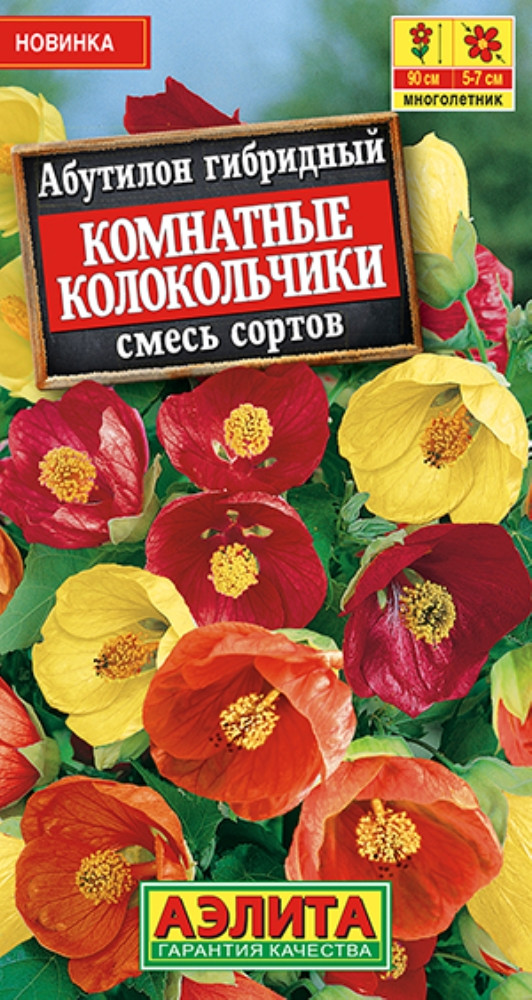 Колокольчики комнатные «Абутилон гибридный» | Аэлита