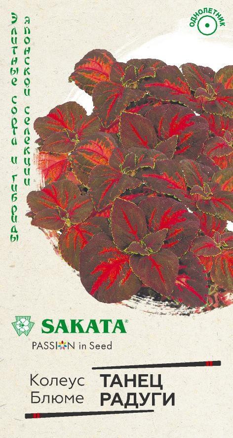 Колеус «Танец радуги» | Гавриш