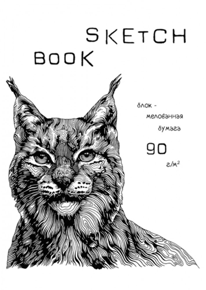 Скетчбук | Полином