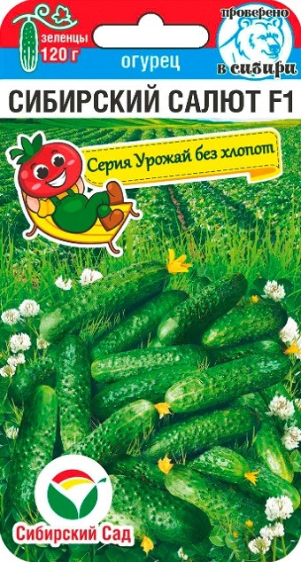 Огурец «Сибирский салют» | Сибирский Сад