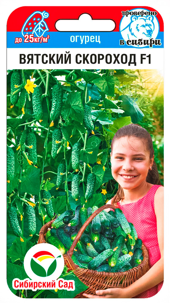 Огурец «Вятский скороход F1» | Сибирский Сад