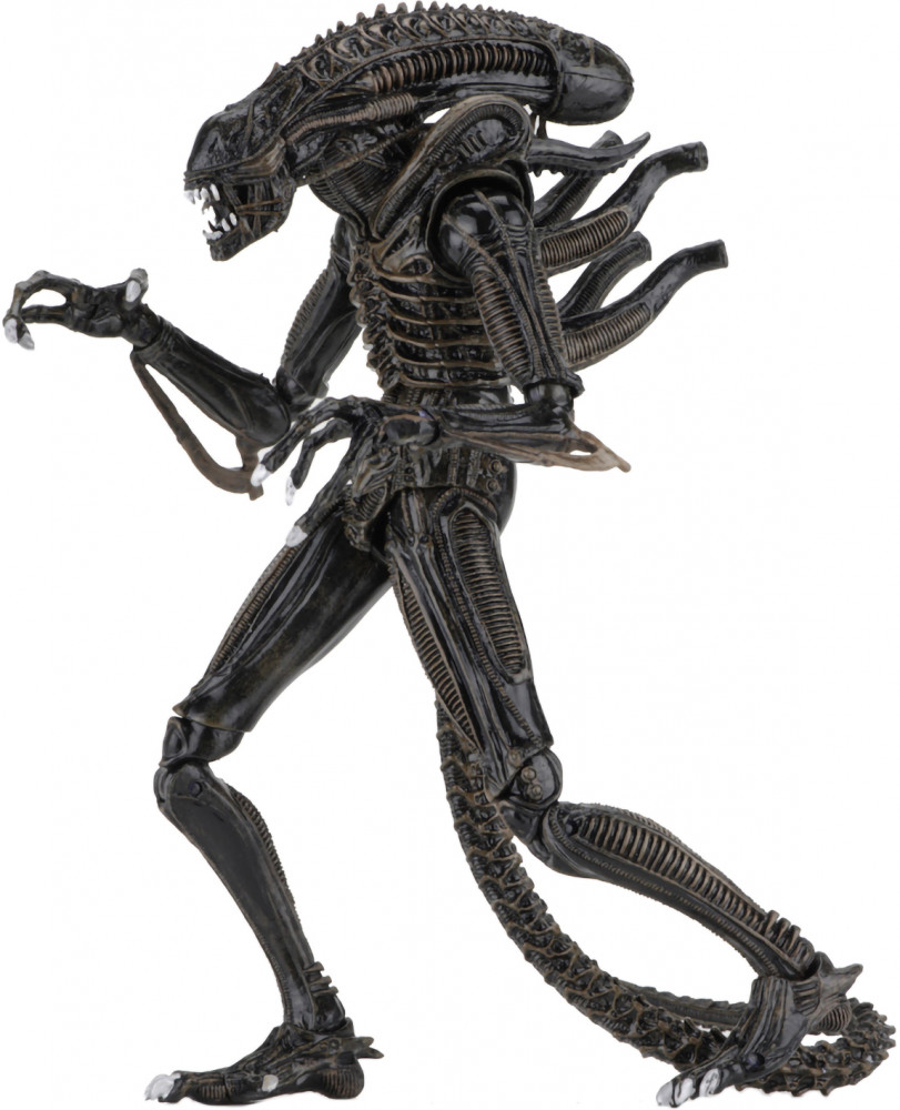 Фигурка «Warrior» | Alien | NECA