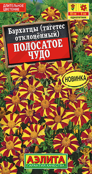 Бархатцы «Полосатое чудо» | Аэлита